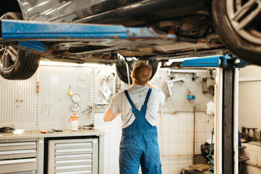 Pameistrystė augina naują profesionalių specialis…