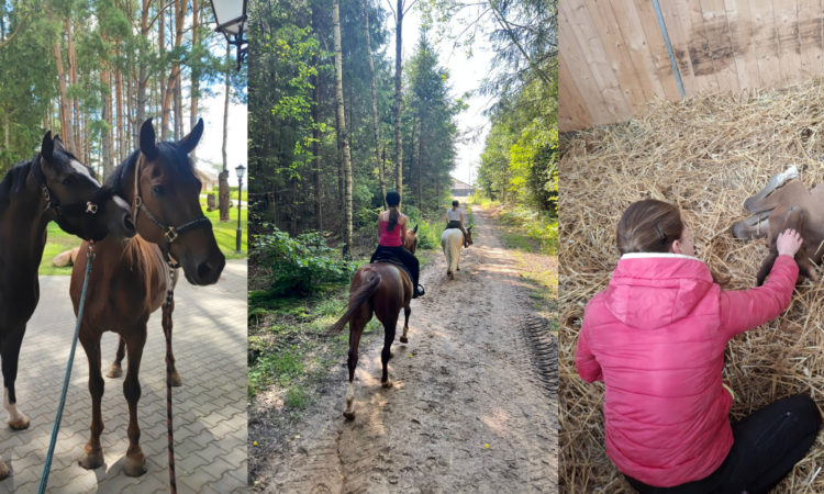 Vaikystės svajonė dirbti su žirgais virto realybe…