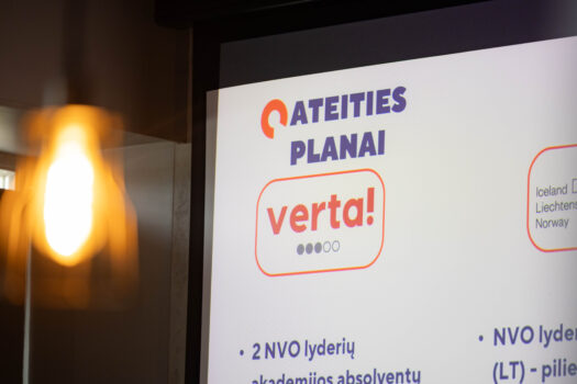 CERV kontaktinį punktą koordinuojanti ESFA – diskusijoje apie pilietinės visuomenės stiprinimą Lietu